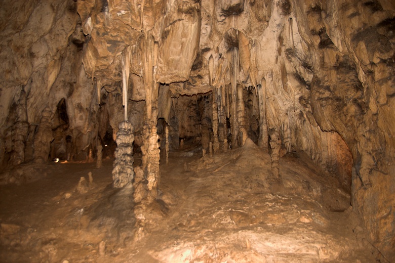img00017.jpg