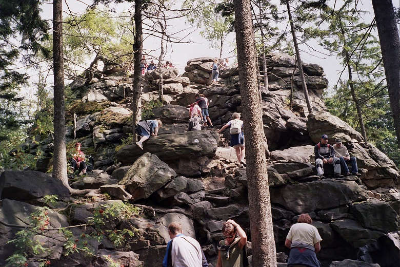 img00003.jpg
